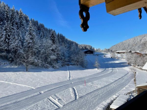 Ferienwohnung Bergglück Wildschönau Oberau